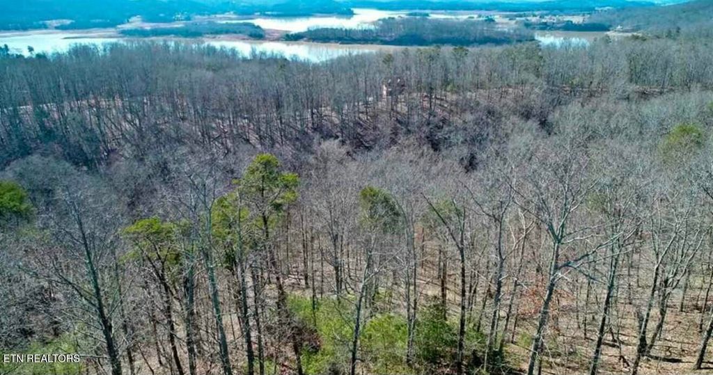 Photo of 1410 Echota Lane, Mooresburg, TN 37811 (MLS # 1331300)