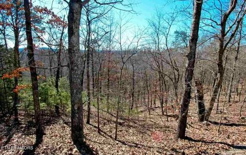 Tiny photo for 1410 Echota Lane, Mooresburg, TN 37811 (MLS # 1331300)
