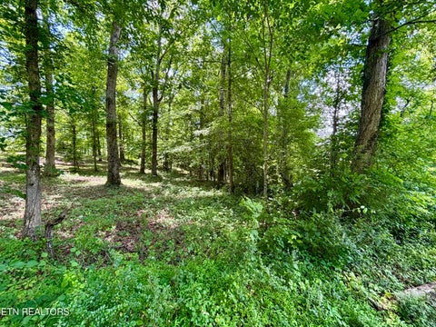 Photo of 0 Rolling Acres Drive, Rockwood, TN 37854 (MLS # 1344649)