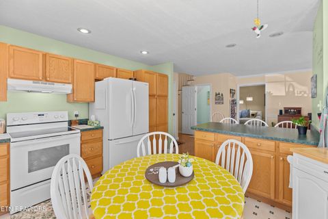 Tiny photo for 904 Chris Rd, Strawberry Plains, TN 37871 (MLS # 1335410)