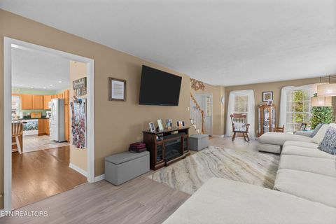 Tiny photo for 904 Chris Rd, Strawberry Plains, TN 37871 (MLS # 1335410)