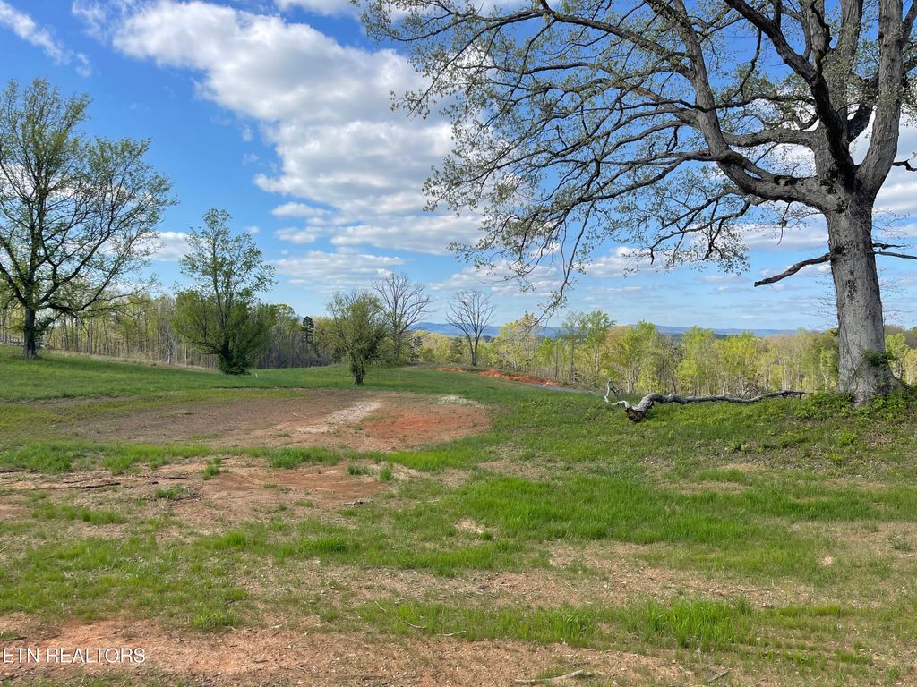 Photo of 5 Laura Boling Loop Rd, Strawberry Plains, TN 37871 (MLS # 1297324)