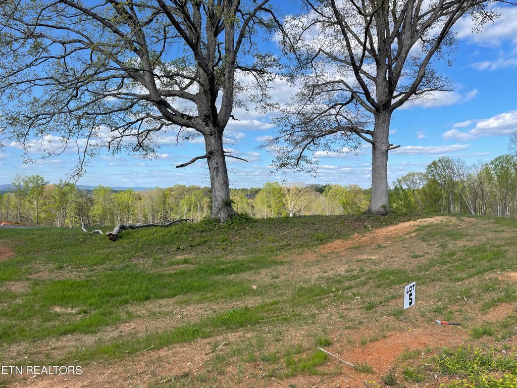 Photo of 5 Laura Boling Loop Rd, Strawberry Plains, TN 37871 (MLS # 1297324)