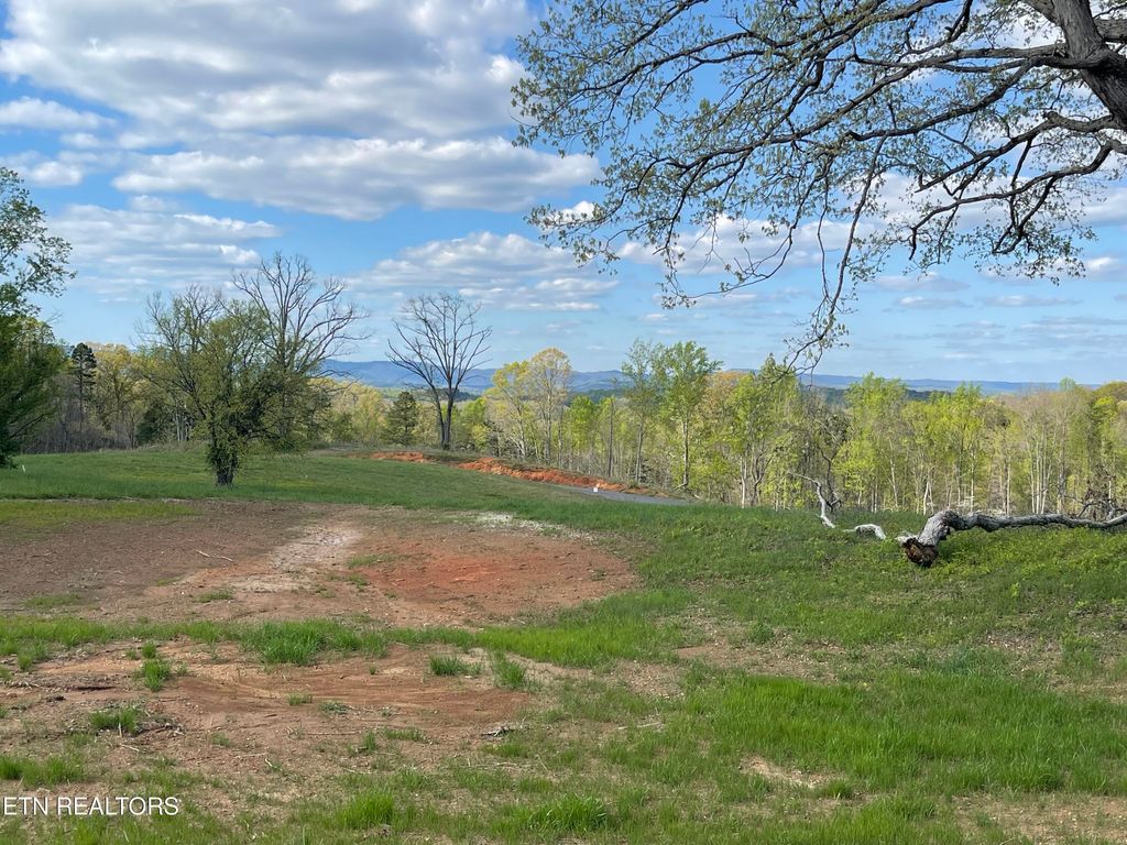 Photo of 5 Laura Boling Loop Rd, Strawberry Plains, TN 37871 (MLS # 1297324)