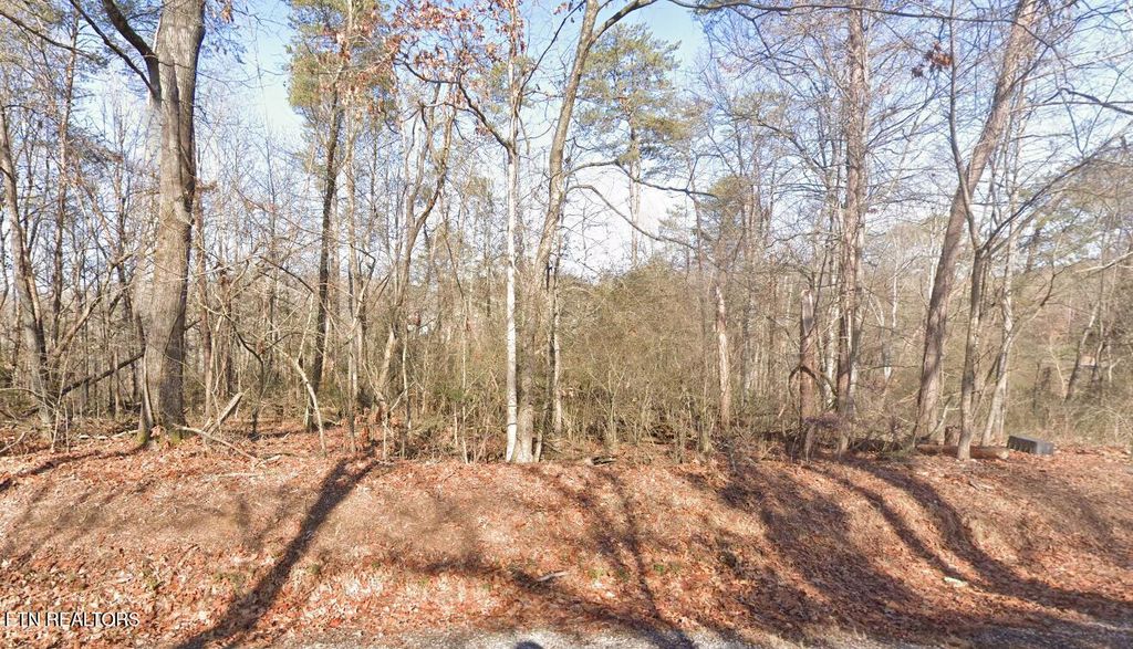 Photo of 109 Chanusi Way, Loudon, TN 37774 (MLS # 1301982)