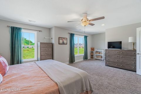 Tiny photo for 282 Broadberry Ave, Oak Ridge, TN 37830 (MLS # 1348168)