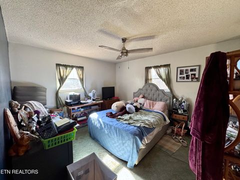 Tiny photo for 794 Kemmer Rd, Spring City, TN 37381 (MLS # 1327703)