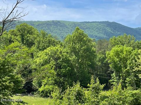 1478 Old Chilhowee Rd Seymour TN 37865