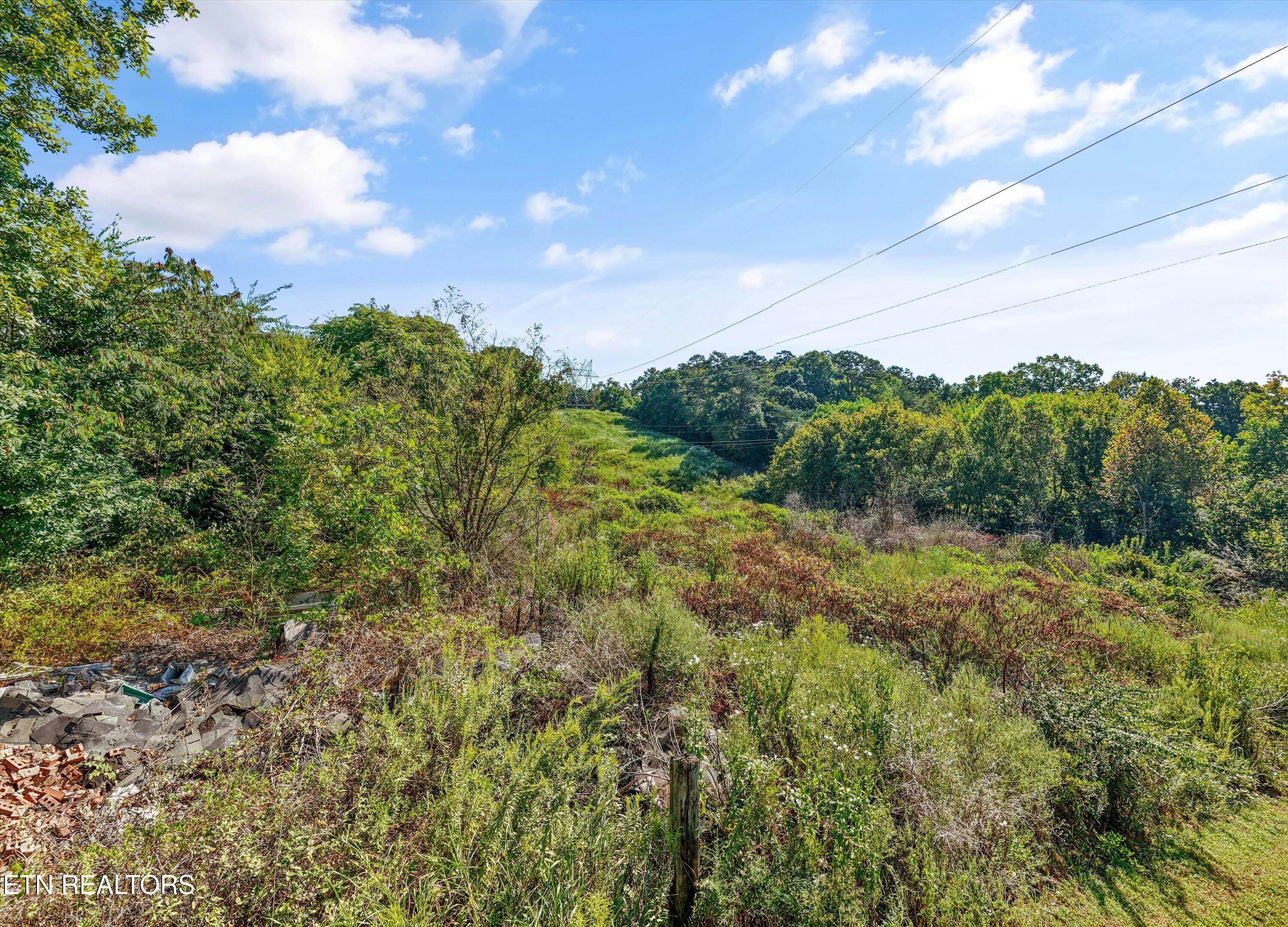 Williams Hill Drive