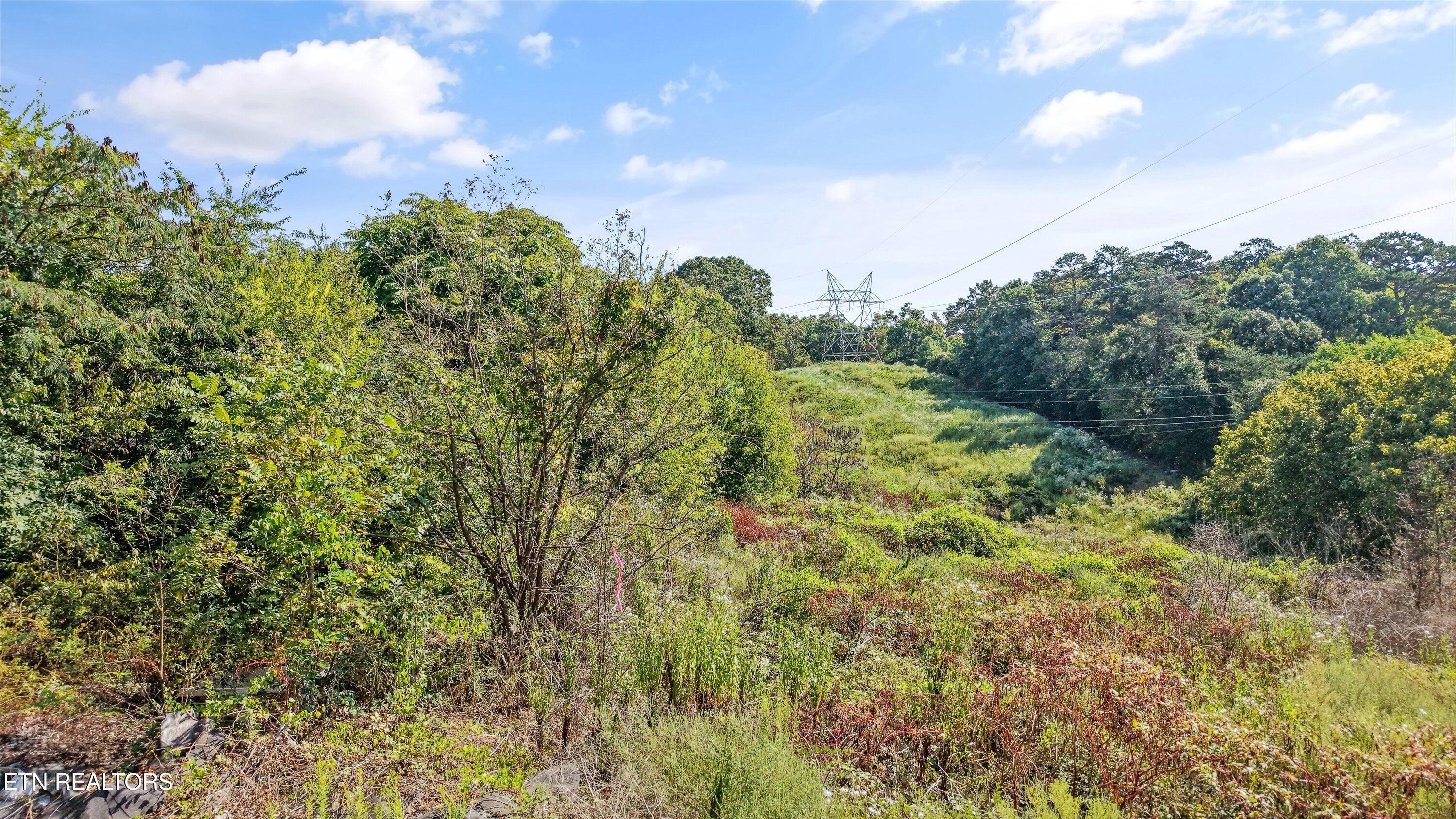 Williams Hill Drive