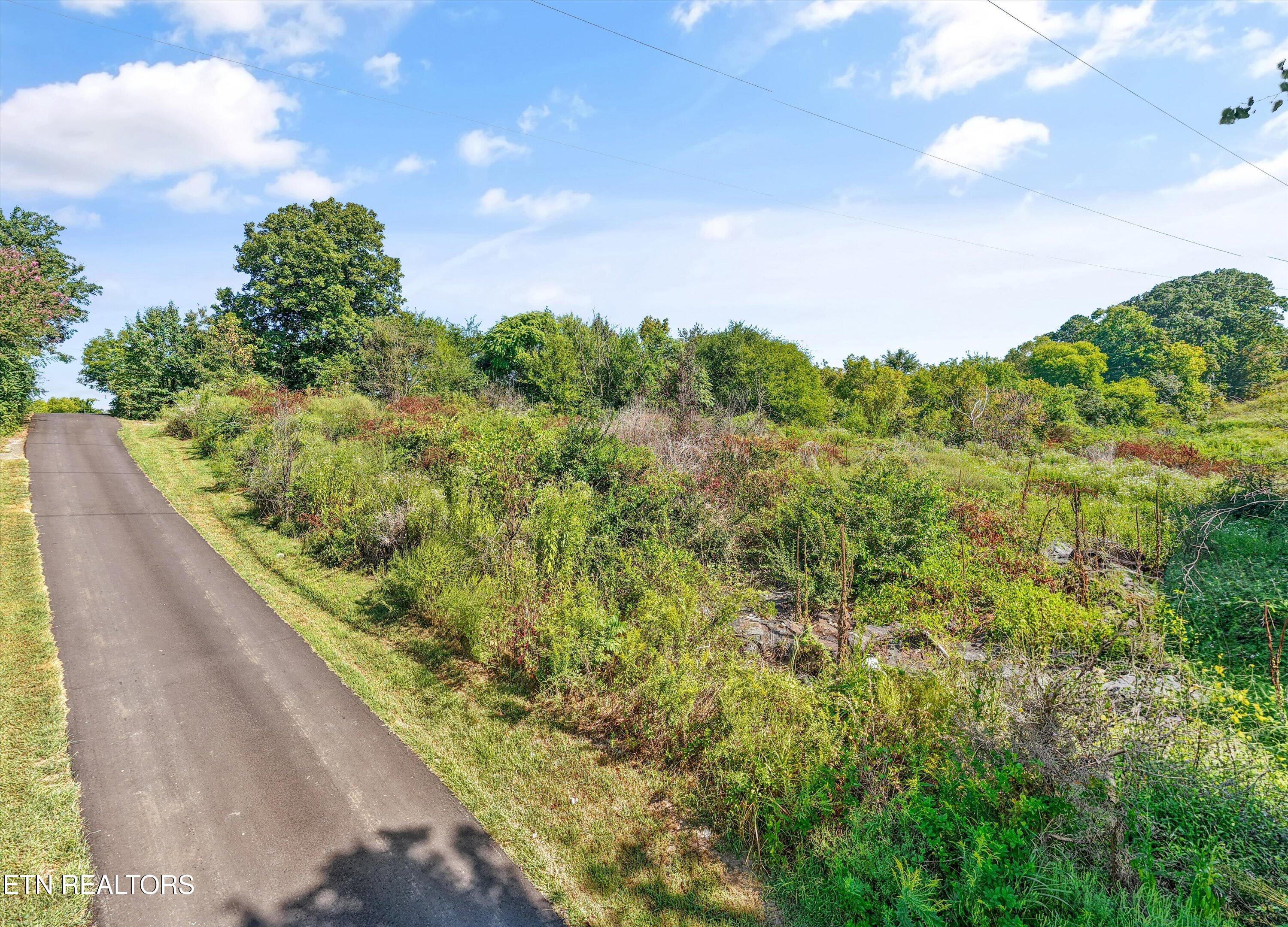Williams Hill Drive