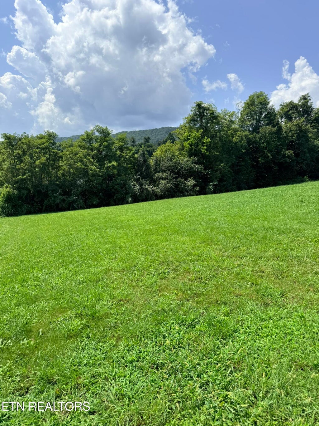 Photo of Mountain Perkins Lane, Jacksboro, TN 37757 (MLS # 1352360)