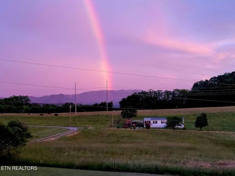 Tiny photo for 2022 Bessie Slaton Rd, Dandridge, TN 37725 (MLS # 1329475)