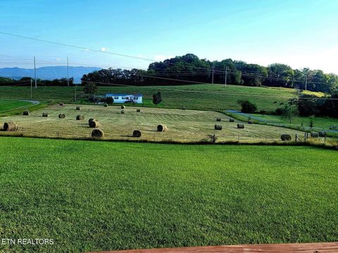 Tiny photo for 2022 Bessie Slaton Rd, Dandridge, TN 37725 (MLS # 1329475)