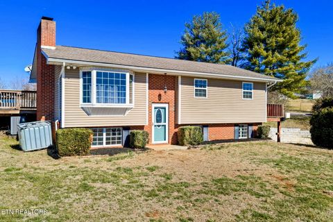 Tiny photo for 2022 Bessie Slaton Rd, Dandridge, TN 37725 (MLS # 1329475)