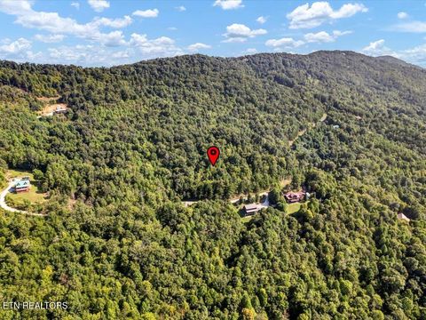 Tiny photo for 508 Hidden Springs Rd, New Tazewell, TN 37825 (MLS # 1318810)