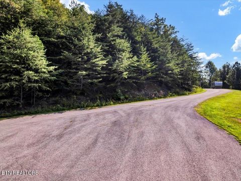 Tiny photo for 508 Hidden Springs Rd, New Tazewell, TN 37825 (MLS # 1318810)