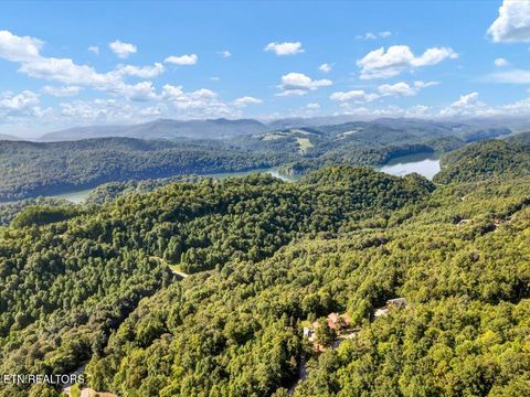 Photo of 508 Hidden Springs Rd, New Tazewell, TN 37825 (MLS # 1318810)