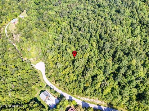 Tiny photo for 508 Hidden Springs Rd, New Tazewell, TN 37825 (MLS # 1318810)