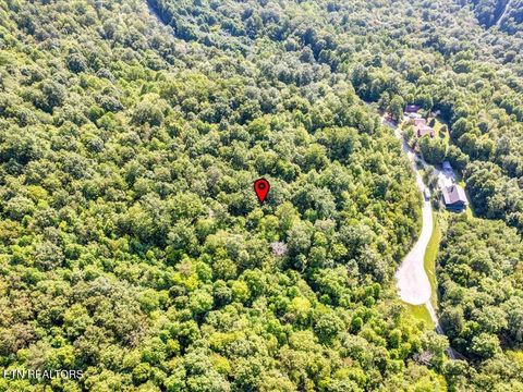 Tiny photo for 508 Hidden Springs Rd, New Tazewell, TN 37825 (MLS # 1318810)