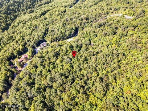 Tiny photo for 508 Hidden Springs Rd, New Tazewell, TN 37825 (MLS # 1318810)