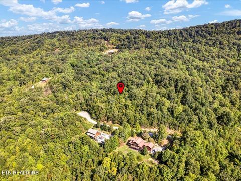 Tiny photo for 508 Hidden Springs Rd, New Tazewell, TN 37825 (MLS # 1318810)