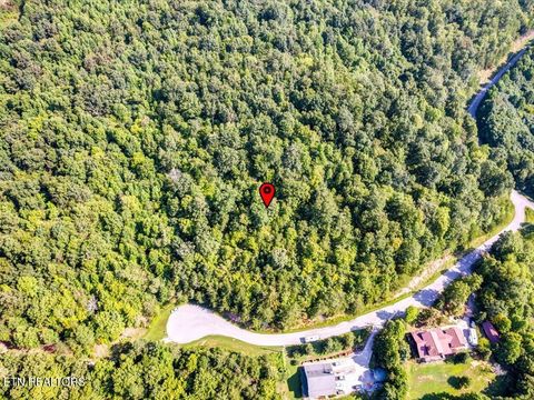Tiny photo for 508 Hidden Springs Rd, New Tazewell, TN 37825 (MLS # 1318810)