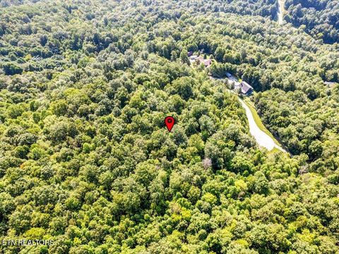 Tiny photo for 508 Hidden Springs Rd, New Tazewell, TN 37825 (MLS # 1318810)