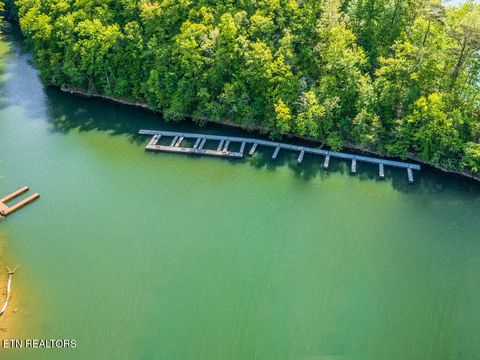 Tiny photo for 508 Hidden Springs Rd, New Tazewell, TN 37825 (MLS # 1318810)