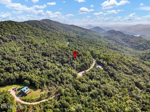 Tiny photo for 508 Hidden Springs Rd, New Tazewell, TN 37825 (MLS # 1318810)