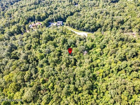 Tiny photo for 508 Hidden Springs Rd, New Tazewell, TN 37825 (MLS # 1318810)