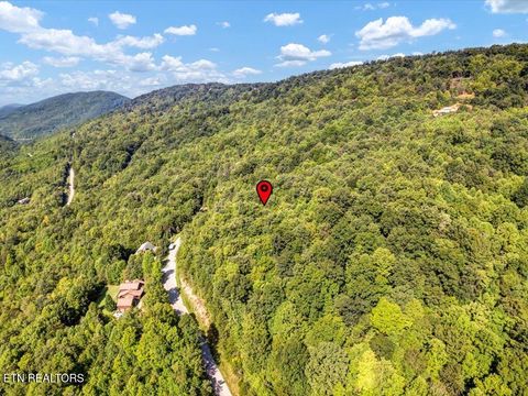 Tiny photo for 508 Hidden Springs Rd, New Tazewell, TN 37825 (MLS # 1318810)