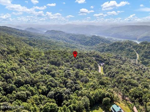 Tiny photo for 508 Hidden Springs Rd, New Tazewell, TN 37825 (MLS # 1318810)