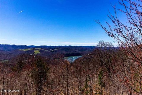 Tiny photo for 508 Hidden Springs Rd, New Tazewell, TN 37825 (MLS # 1318810)