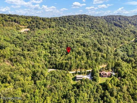 Tiny photo for 508 Hidden Springs Rd, New Tazewell, TN 37825 (MLS # 1318810)