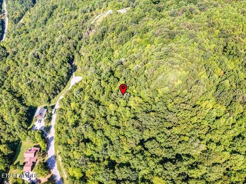 Tiny photo for 508 Hidden Springs Rd, New Tazewell, TN 37825 (MLS # 1318810)