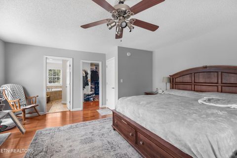Tiny photo for 2433 Green Rd, Cosby, TN 37722 (MLS # 1340327)