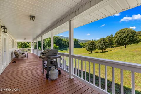 Tiny photo for 2433 Green Rd, Cosby, TN 37722 (MLS # 1340327)