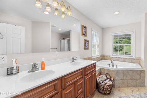 Tiny photo for 2433 Green Rd, Cosby, TN 37722 (MLS # 1340327)