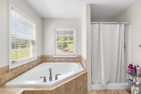 Tiny photo for 2433 Green Rd, Cosby, TN 37722 (MLS # 1340327)