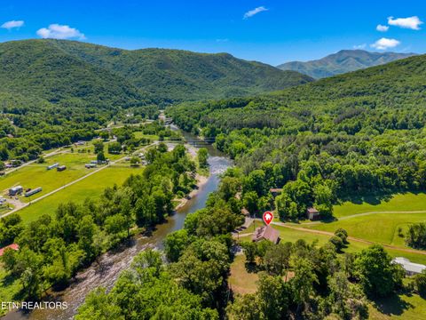 Tiny photo for 2433 Green Rd, Cosby, TN 37722 (MLS # 1340327)