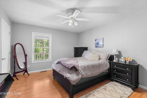Tiny photo for 2433 Green Rd, Cosby, TN 37722 (MLS # 1340327)