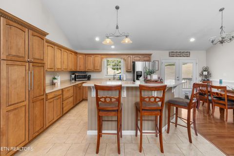 Tiny photo for 2433 Green Rd, Cosby, TN 37722 (MLS # 1340327)