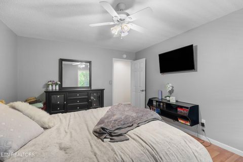 Tiny photo for 2433 Green Rd, Cosby, TN 37722 (MLS # 1340327)