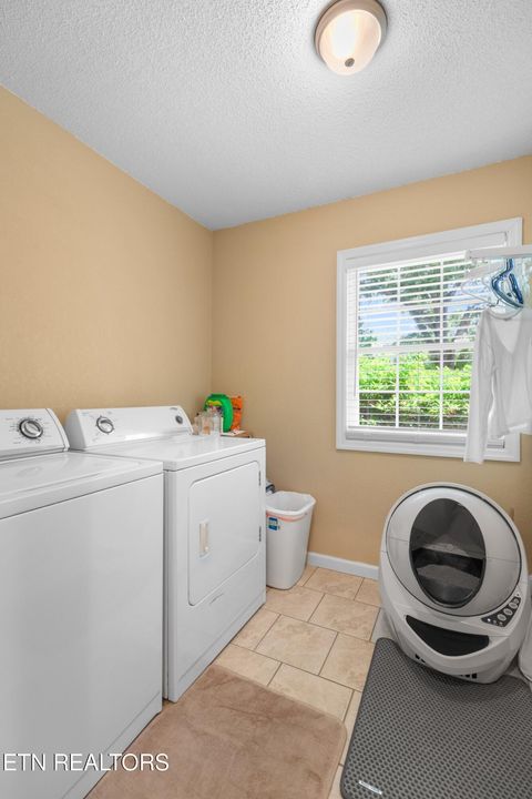 Tiny photo for 2433 Green Rd, Cosby, TN 37722 (MLS # 1340327)