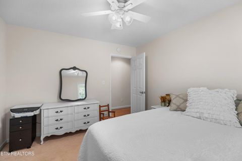 Tiny photo for 2433 Green Rd, Cosby, TN 37722 (MLS # 1340327)