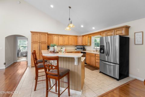 Tiny photo for 2433 Green Rd, Cosby, TN 37722 (MLS # 1340327)
