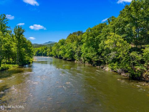 Tiny photo for 2433 Green Rd, Cosby, TN 37722 (MLS # 1340327)