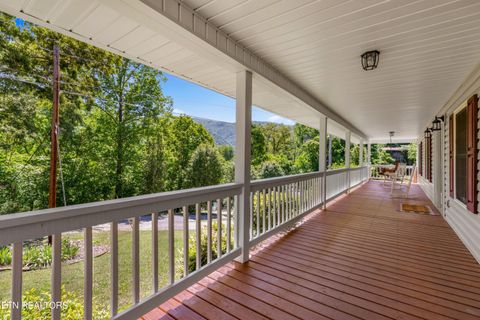 Tiny photo for 2433 Green Rd, Cosby, TN 37722 (MLS # 1340327)