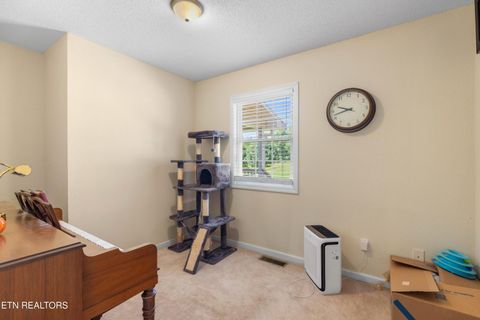 Tiny photo for 2433 Green Rd, Cosby, TN 37722 (MLS # 1340327)